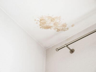 About Fort Lauderdale Black Mold Removal Pros - black mold removal experts in Fort Lauderdale