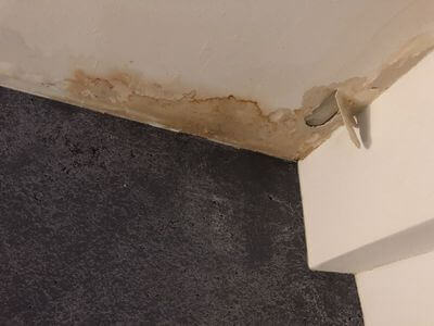 Professional black mold removal services in Fort Lauderdale
